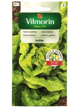 Sałata JUSTINE masłowa 0,5g Vilmorin TOP
