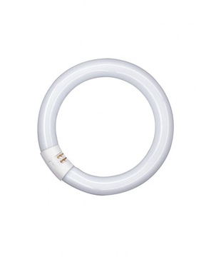 LUMILUX T9 C 22 W/865 G10Q