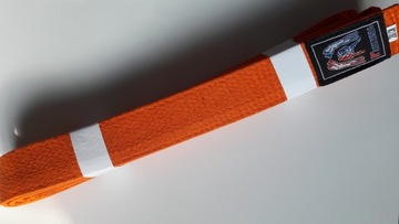 Пояс для кимоно EVERFIGHT, коричневый, 240 см