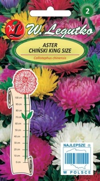 Aster chiński peoniowy King Size mieszanka nasiona