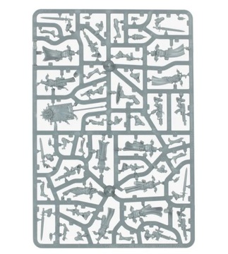 Убийственная команда: послушники Адепта Сороритас