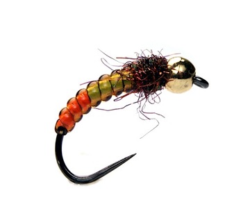 Caddis bicolor NYMPH size 10 tungsten