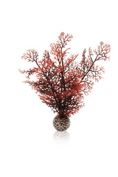 BIORB GORGONIA S SZKARŁATNA 20 CM 46069