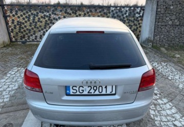 Audi A3 8P Hatchback 3d 2.0 TDI PD 140KM 2005 Audi A3 3-drzwiowe Audi A3 3-drzwiowe 2.0 TDI Attraction 2.0 Diesel 140KM, zdjęcie 14