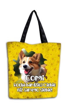 Torba z Pupilem, Corgi, Super prezent