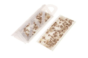 Объявления 10x ловушка для пищевой моли mklik + бесплатно