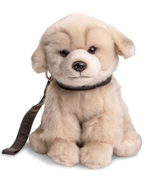 Piesek szczekający Golden Retriever z dźwiękiem