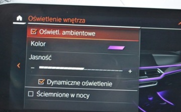 BMW X5 G05 SUV 2.0 25d 231KM 2021 BMW X5 25d xDrive M Sport Dealer BMW Bonkowscy Gorzow Wlkp. 2.0 Diesel, zdjęcie 22