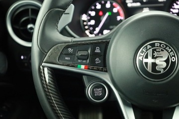 Alfa Romeo Stelvio SUV 2.0 Turbo 280KM 2019 Alfa Romeo Stelvio 2.0 Turbo Q4, Salon Polska, zdjęcie 16