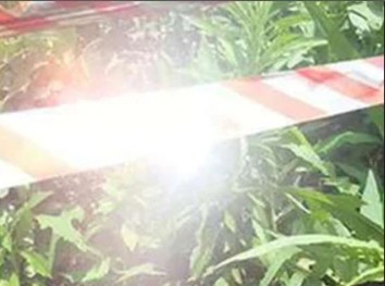 Светоотражающая лента, отпугивающая птиц, кошек, лесных зверей, ворон, 50 м.