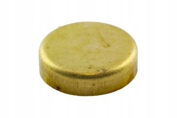 ZAŚLEPKA KOREK BLOKU 20 MM
