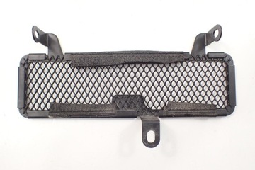 Triumph Speed ​​Triple 1050 16- R G Защита радиатора