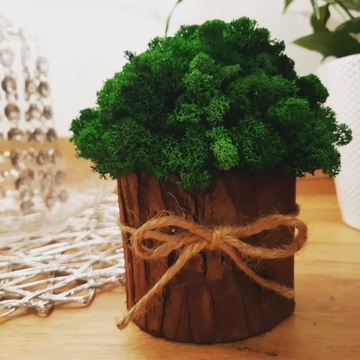 УКРАШЕНИЕ МОХ ХРОБОТЕК ВЕДРО УКРАШЕНИЕ ДОМА