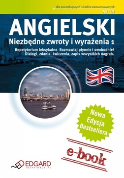 Angielski - Niezbędne zwroty i wyrażenia - ebook