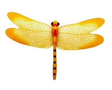 Декоративный магнит на холодильник в виде стрекозы.