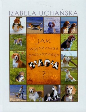 Как вырастить послушного бигля