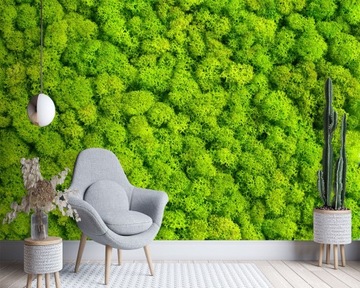 Фотообои Мосс Мосс 300x210