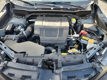 Subaru Forester V 2023 Subaru Forester Wilderness 2023 2.5l 2.5 Benzyna 182KM, zdjęcie 6