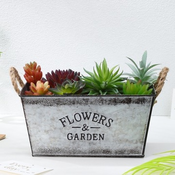 ЦВЕТОЧНЫЕ ГОРШКИ - Цветы в горшках на жестяной веранде.