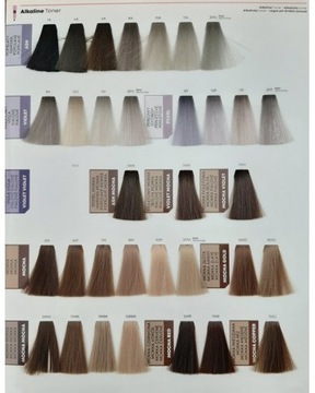 Pre-Bonded Paint Matrix SoColor SYNC 90 мл Тонер