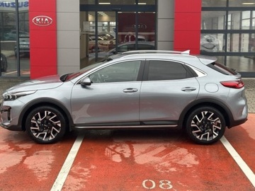 Kia XCeed 2025 KIA XCeed 1.6 T-GDI Tribute DCT Crossover 150KM 2025, zdjęcie 1
