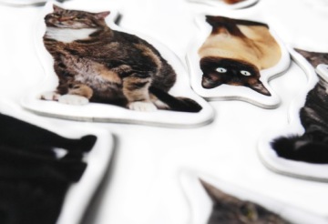 Магниты на холодильник Знакомство с породами кошек КАРТОН