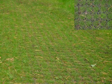 Решетка пластиковая дорожная ажурная пластина 200 шт SG1B