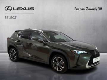 Lexus UX 2023 Lexus UX 200 GPF Business 2WD 200 GPF Business 2WD, zdjęcie 6