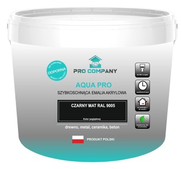 AQUA PRO Emalia Szybkoschnąca 5L Czarny MAT 9005