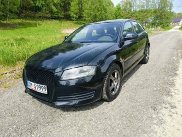 Audi A3 8P Hatchback 3d 1.4 TFSI 125KM 2010 Audi A3 Sportback Audi A3 Sportback 2010 1.4 benzyna 1.4 Benzyna 125KM, zdjęcie 1