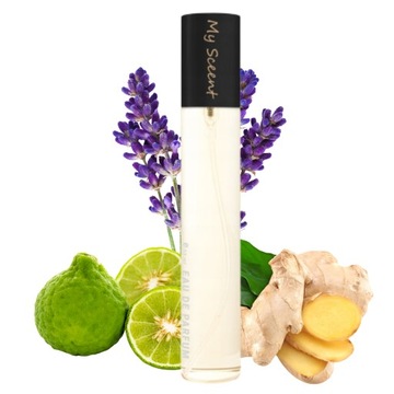 SCEENT MAN Perfumetki Perfumy Męskie 33 ml