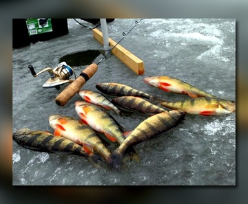 АВТОМАТИЧЕСКАЯ ЛЕДОВАЯ ПАТАРКА MISTRAL