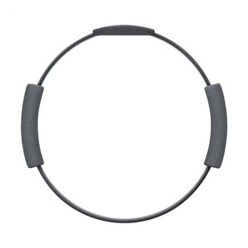 Ring Fit Adventure — Nintendo Switch — НОВИНКА