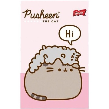Подарочный набор для детей школы искусств Pusheen Layette Bambino