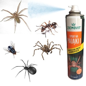 Spray na pająki działa 3 miesiące Rozpylacz