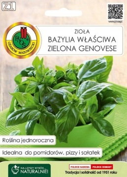 BAZYLIA WŁAŚCIWA ZIELONA GENOVESE 0,3g NSZPM004