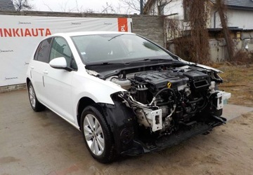 Volkswagen Golf VII Hatchback 3d Facelifting 1.6 TDI-CR DPF BMT 115KM 2018 Volkswagen Golf Diesel Okazja 1.6 Diesel 116KM