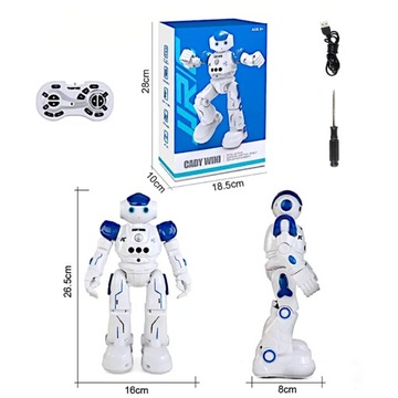 ИНТЕЛЛЕКТУАЛЬНЫЙ РУ РОБОТ С ДИСТАНЦИОННЫМ УПРАВЛЕНИЕМ ЖЕСТАМИ С ПОМОЩЬЮ ДИСТАНЦИОННОГО ПРОГРАММИРОВАНИЯ ПАТРУЛЯ