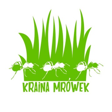 Муравьи Pheidole pallidula с 10-25 рабочими для формикария Ant Land