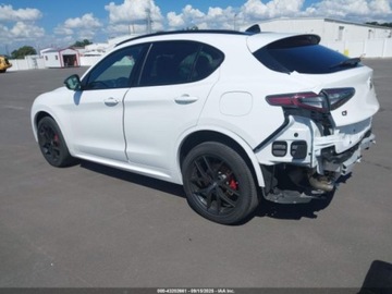 Alfa Romeo Stelvio SUV Facelifting 2.0 Turbo 280KM 2021 Alfa Romeo Stelvio Ti Sport 2021 2.0l 2.0 Benzyna 280KM, zdjęcie 3