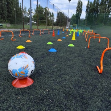 Тренировочные конусы грибные пластины набор из 5 гибких конусов PRO