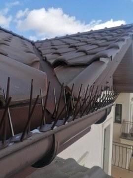 SKUTECZNE PLASTIKOWE KOLCE NA PTAKI GOŁĘBIE 4 KOLORY TRWAŁE i BEZPIECZNE