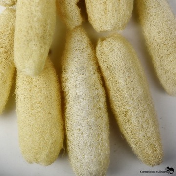 ЛЮФА ЛЮФА НАТУРАЛЬНАЯ ГУБКА ДЛЯ МЫТЬЯ РАСТЕНИЙ