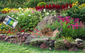 ПРОДУКТ ГРАНУЛЯТ ПРОТИВ УЛИТОК 5 КГ НАТУРАЛЬНЫЙ