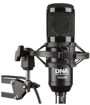 DNA YOU2B - полный комплект для записи