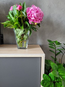 СИЛИКОНОВАЯ ЛЕНТА ДЛЯ ЗАЩИТЫ КРОМОК МЕБЕЛИ 1М ПРОЗРАЧНАЯ ЗАЩИТА КРОМОК