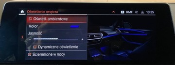 BMW X4 G02 SUV Facelifting 2.0 20I 184KM 2022 BMW X4 Salon Polska Bezwypadkowy R-CARS Warszawa 2.0 Benzyna 184KM, zdjęcie 18