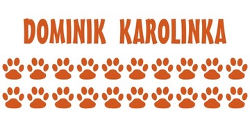 наклейки на велосипед ИМЯ ИМЕНА отпечатки лап ЦВЕТА