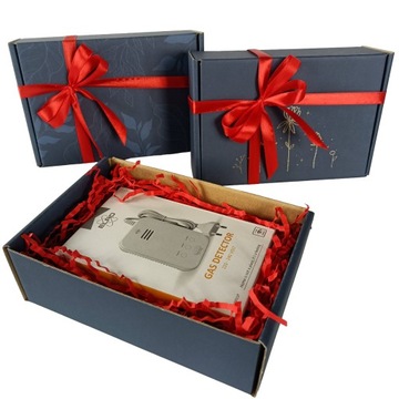 FG4000P Czujnik Gazu Ziemnego