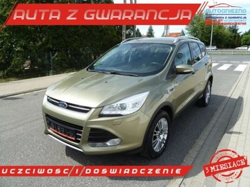 Ford Kuga NAPED 4X4KSENONYNAWIGACJA PLSKORA